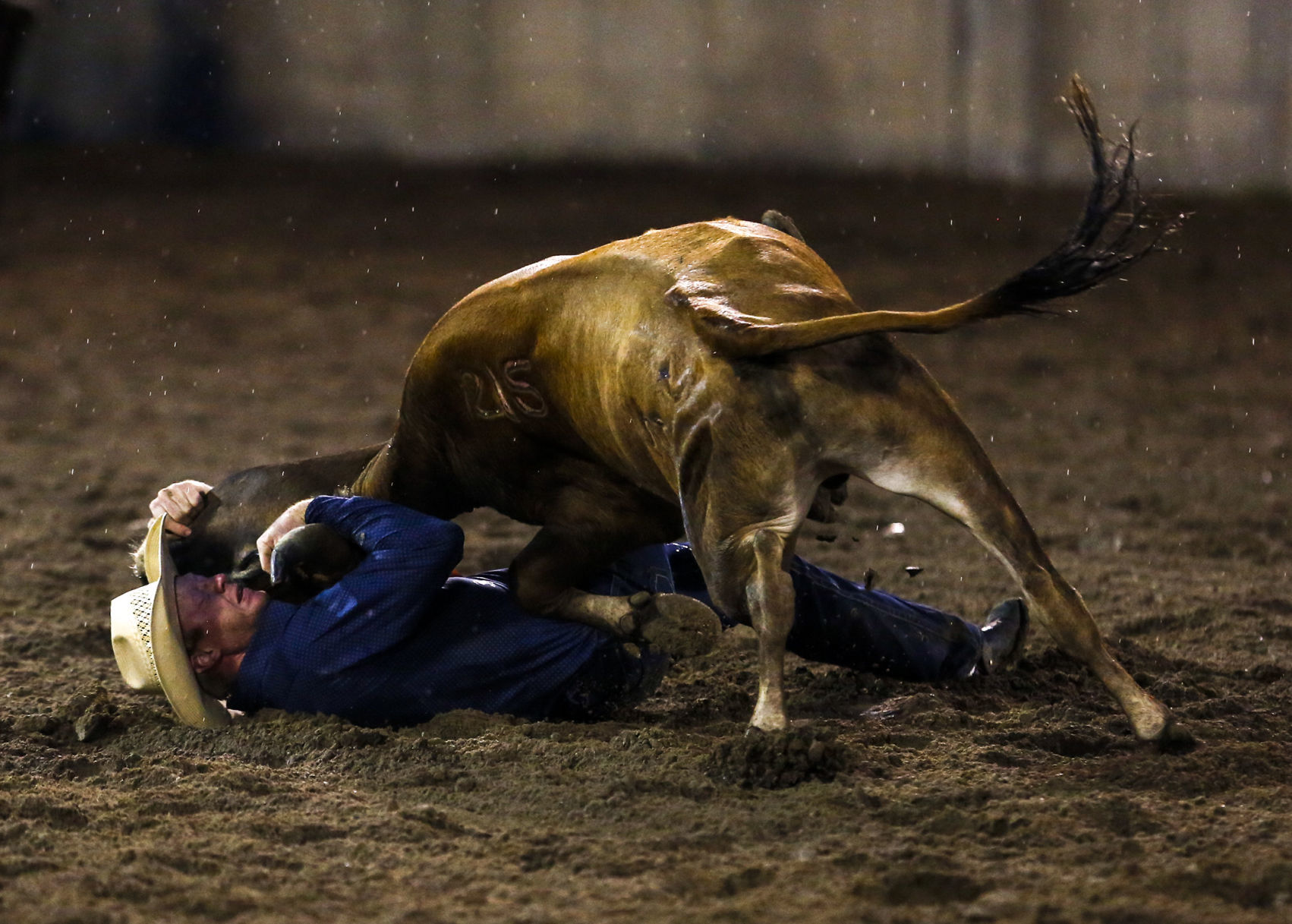 Rodeo